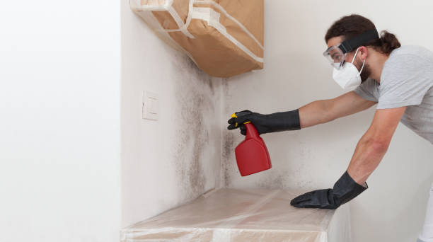 Professional Mold Testing technician working in Barclay, NJ