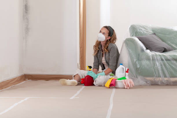 Reliable Mold Remediation contractor in Barclay, NJ by Cheap Mold Removal