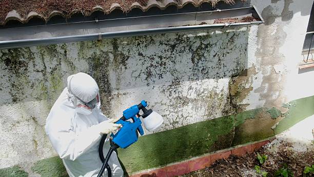 Trusted Mold Remediation service in Barclay, NJ - Cheap Mold Removal